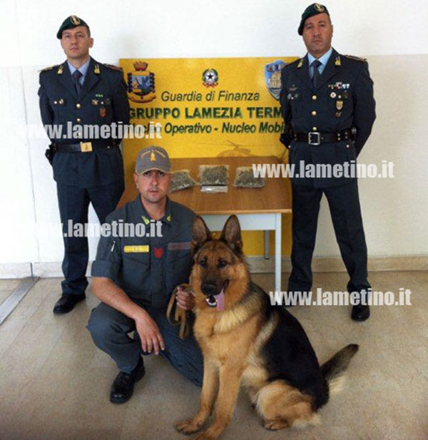 Lamezia: Arrestato giovane "pusher" da guardia di finanza con aiuto cane antidroga Abos