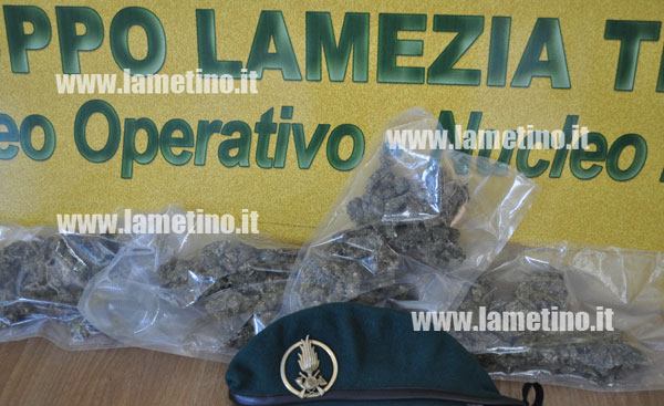 guardia-finanza-marijuana-lamezia-giugno-2013.jpg