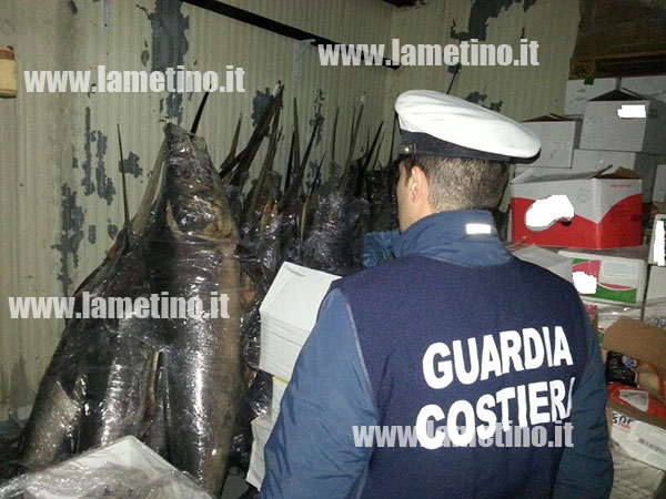 Calabria: Guardia costiera sequestra 17.400 kg prodotto ittico