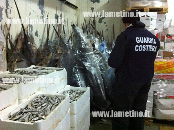 guardia_costiera_seq_pesce2.jpg