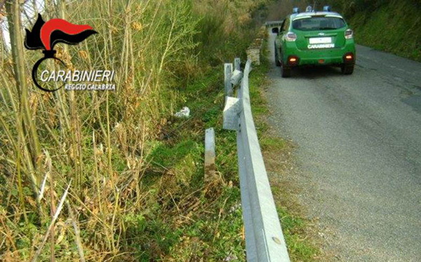 Sorpresi a rubare guard rail, denunciati nel reggino