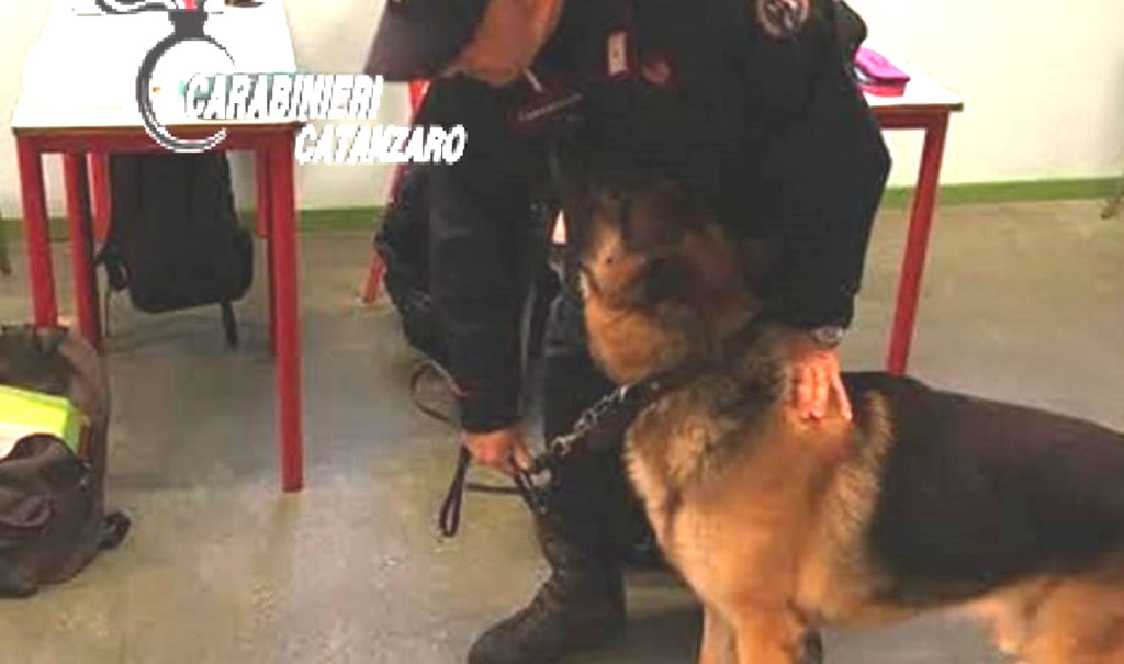 Servizi antidroga nelle scuole catanzaresi: trovata marijuana in classe e nei bagni, segnalati 3 studenti
