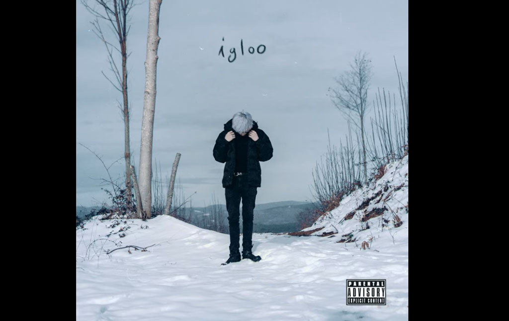 igloo-mozik9.23.27_56134.jpg