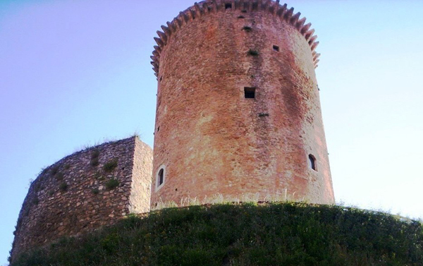 image-sito-0004.jpg