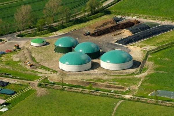 Emendamento biogas, Statti: "Grande opportunità per gli agricoltori"
