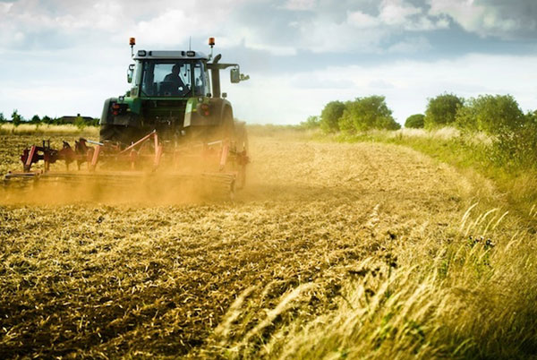 "Agribond 2", da Unicredit 6 milioni alle imprese agricole calabresi