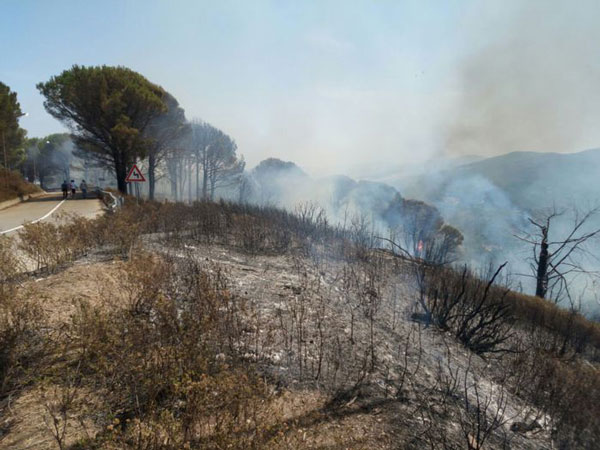 Numerosi incendi in Calabria, in azione canadair 