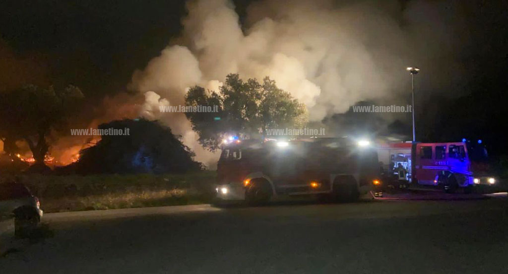 Vasto incendio nelle campagne di Maida, intervengono vigili del fuoco