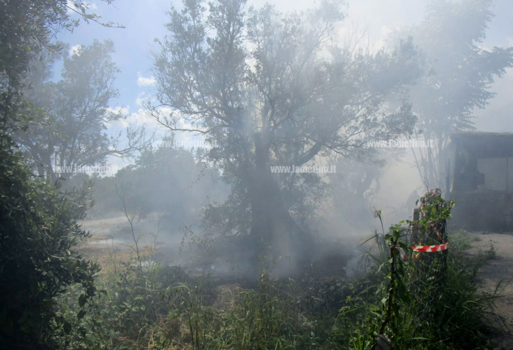 Lamezia, in fiamme sterpaglie in via Miceli: fumo invade vie del centro