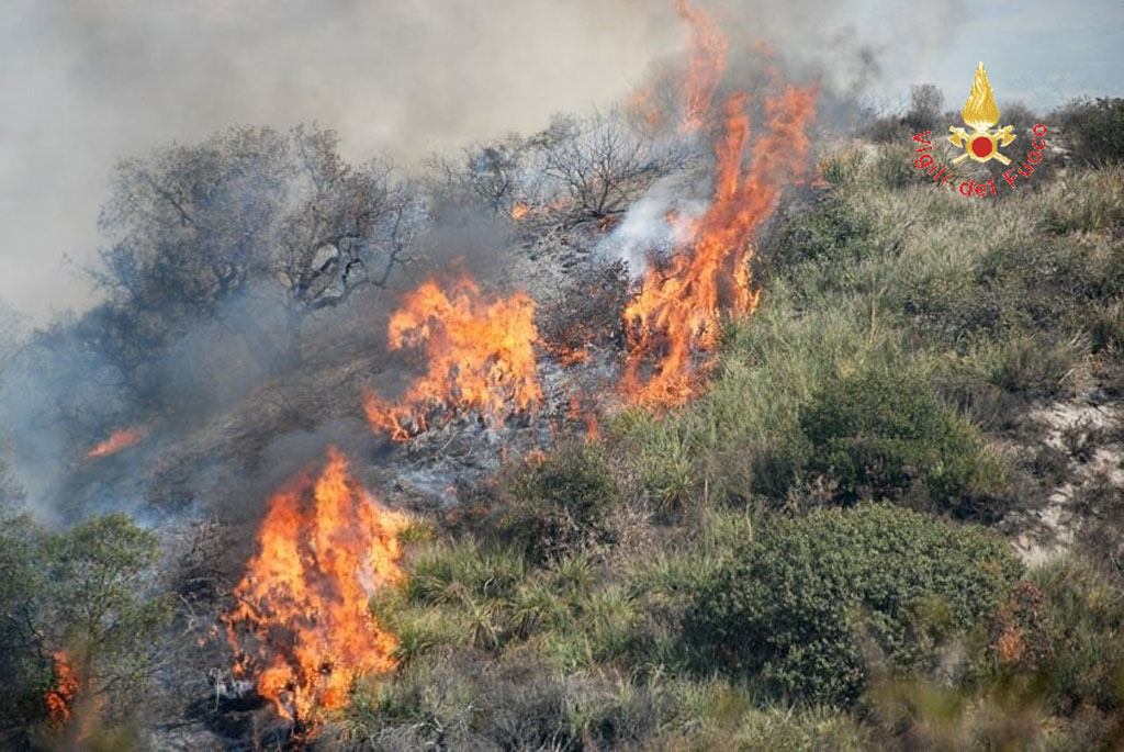 Incendio lambisce case a Girifalco, salvati animali  