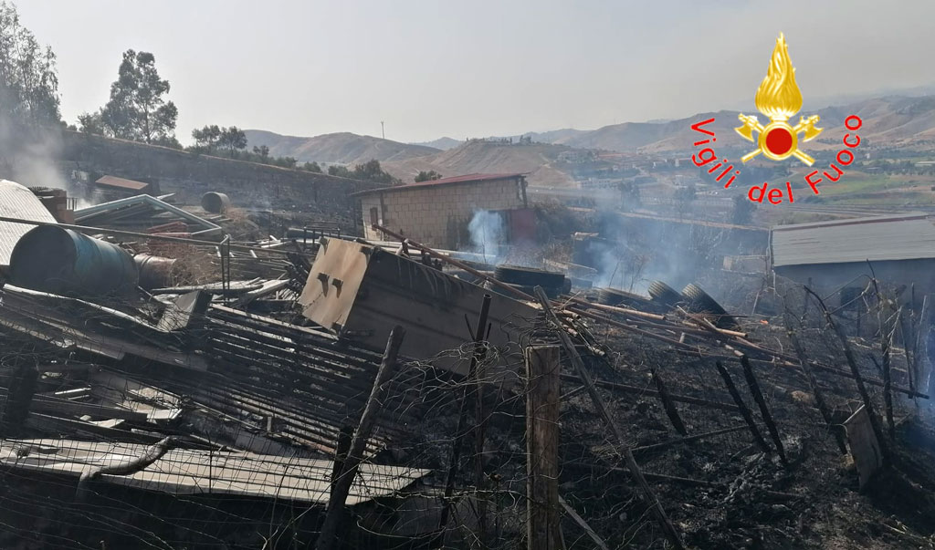 Allarme incendi in Calabria: oltre trenta roghi tra Catanzaro e Lamezia