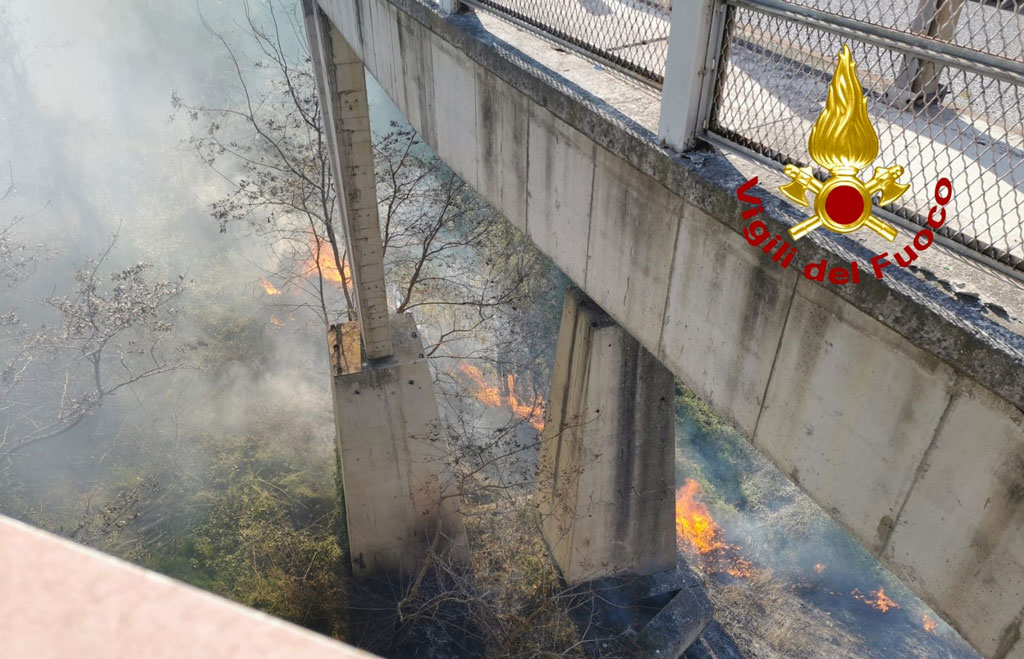 Incendio di arbusti sotto viadotto Bisantis a Catanzaro, non si esclude la natura dolosa