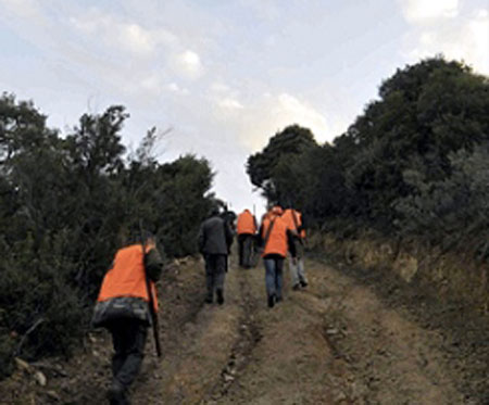 Calabria: Nuovo incidente di caccia, un ferito grave