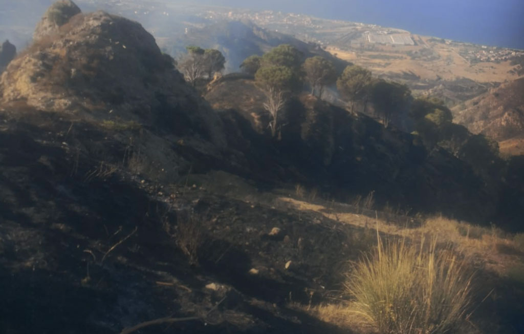 Lotta agli incendi, i numeri del Sistema Antincendio boschivo regionale di “Calabria Verde”