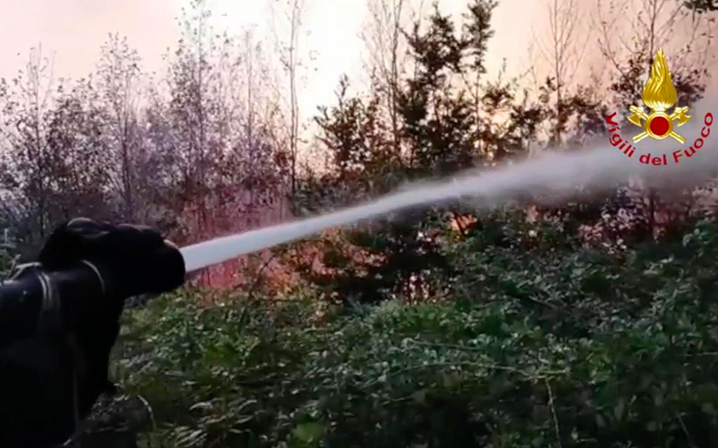 Incendi boschivi, in Calabria 65 interventi nelle ultime 12 ore - VIDEO