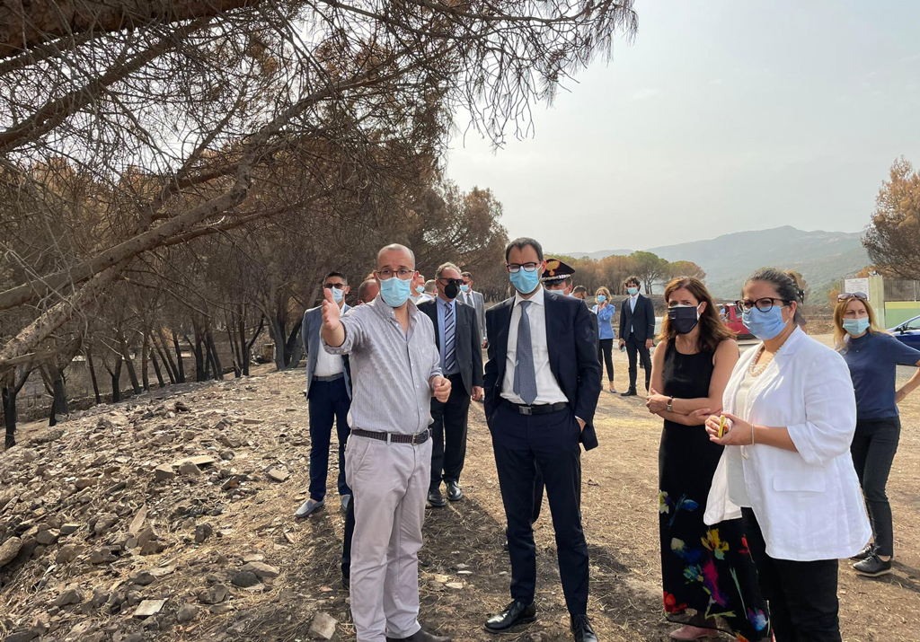 Incendi, ministro Patuanelli in Calabria: "Giovedì in Cdm stato calamità, sì ristori e prevenzione"