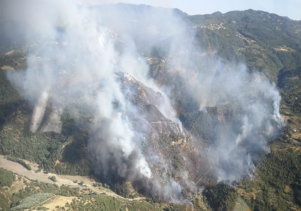 Ventisei incendi attivi oggi in Calabria, impegnate sette squadre per 39 operatori di “Calabria Verde”