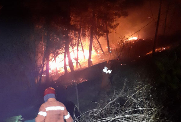 Vasto incendio a Tiriolo, fiamme lambiscono abitazioni
