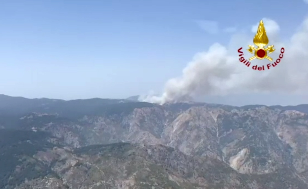 Incendi, allevatore di Grotteria: “Nel fuoco ho perso tutto ma non mi arrendo e vado avanti"