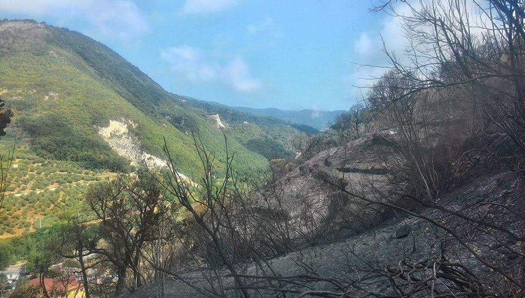 Incendi tra Mancuso e Reventino, Associazioni: appello per una maggiore prevenzione a tutela del patrimonio