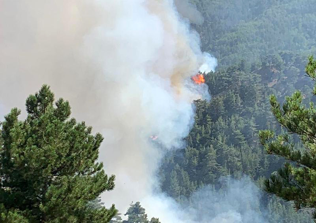 Piano antincendi boschivi in Calabria: Regione avvia dialogo con Legambiente, Wwf e Lipu 