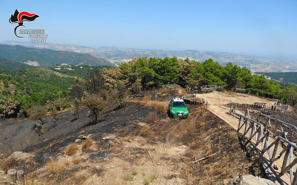 In fiamme superficie boschiva pari a 14 campi da calcio nel crotonese, 2 denunce