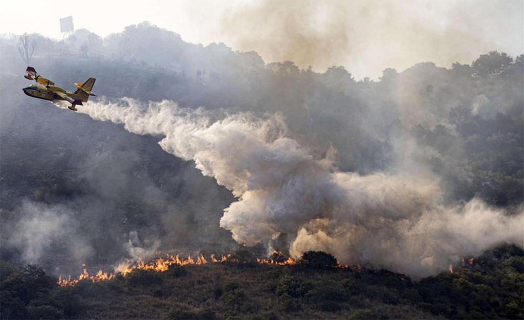 Incendi estivi in Calabria, Protezione Civile avvia interventi nelle aree più colpite