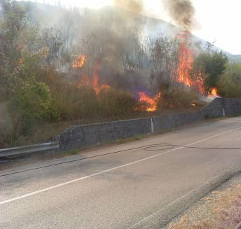 Calabria: Incendi, 40 roghi in Calabria, in azione elicotteri