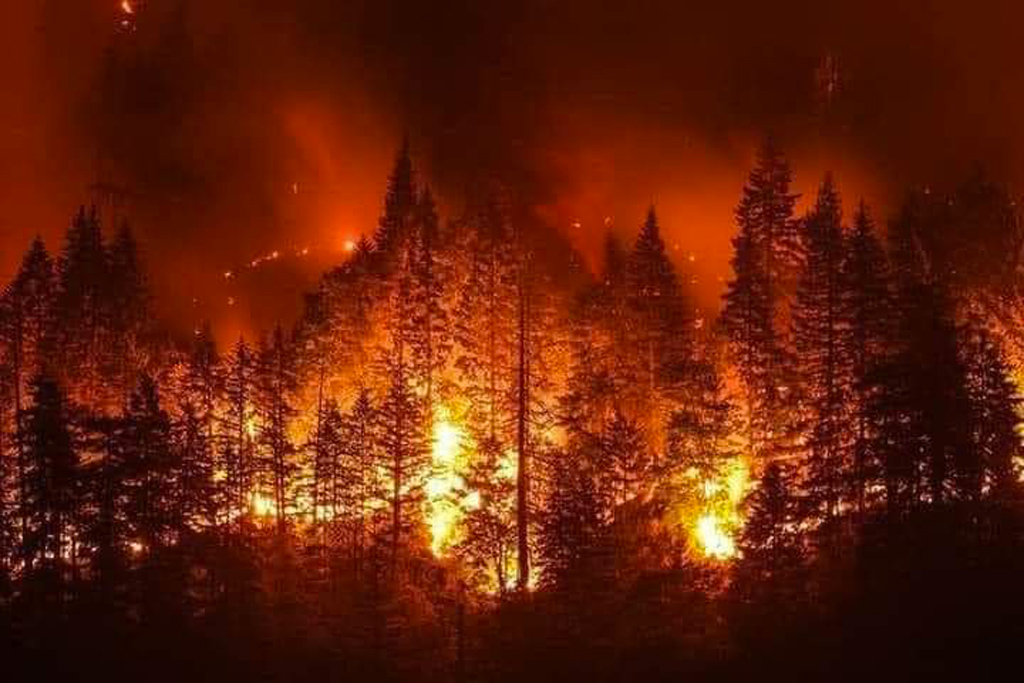Incendi: Draghi telefona a sindaco Reggio, domani Curcio in Calabria