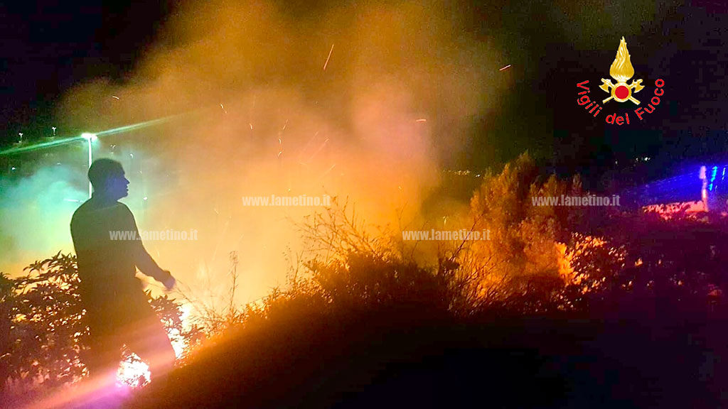 Incendio di sterpaglie vicino abitazioni a Catanzaro, rogo domato dai vigili del fuoco