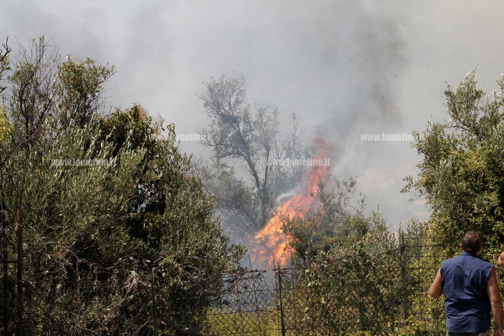 incendio-20-agosto1.jpg
