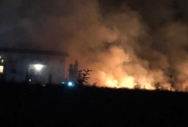Incendio area archeologica a Vibo Valentia, rovine a rischio