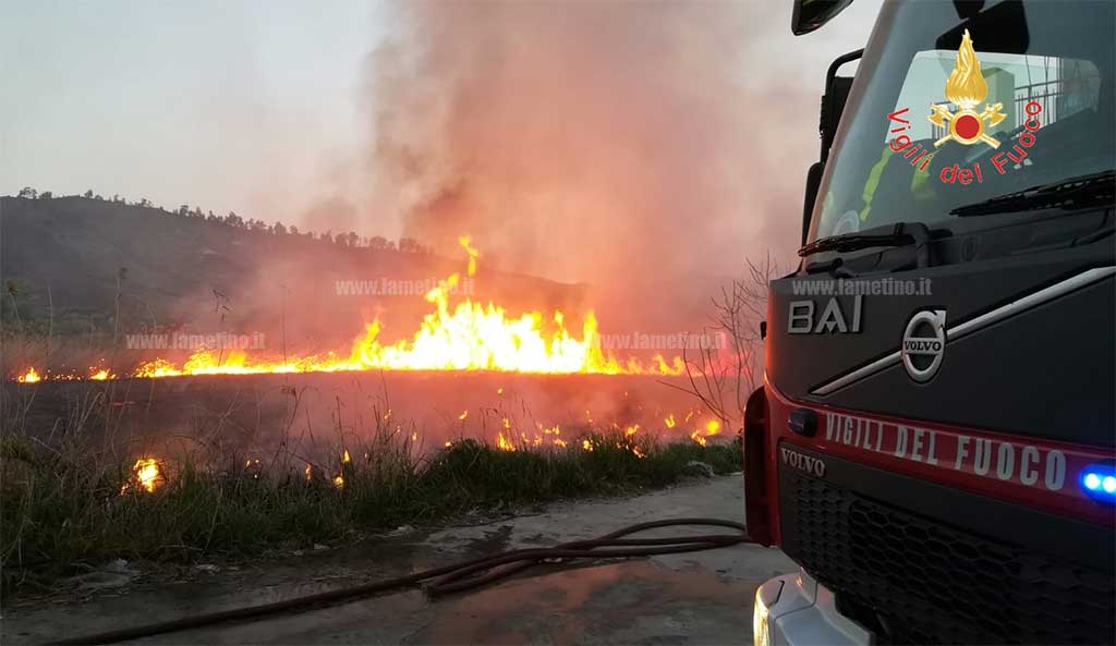 Incendiati arbusti e macchia mediterranea a Catanzaro, nessun danno a persone 