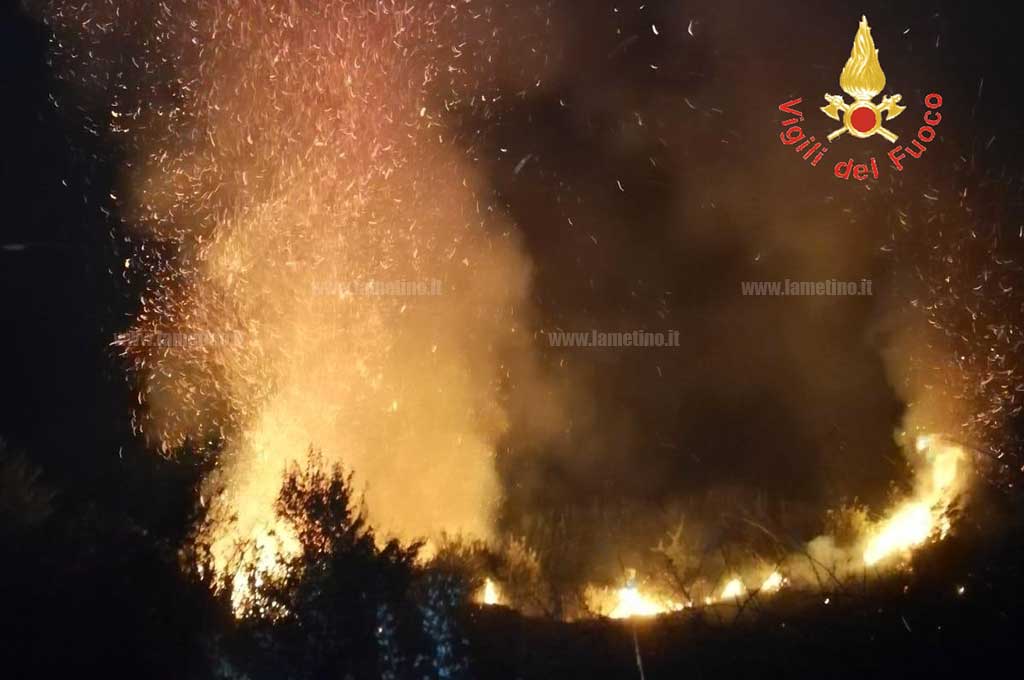 Vasto incendio a Cortale, distrutti diversi ettari di macchia mediterranea e arbusti 