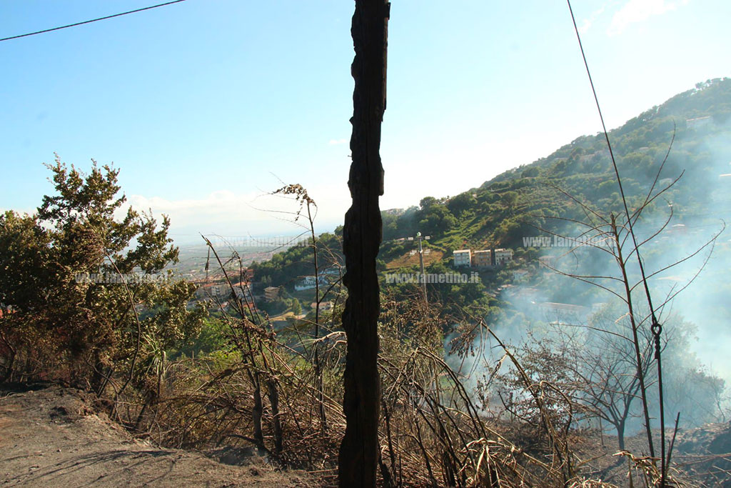 incendio-2_13731.jpg