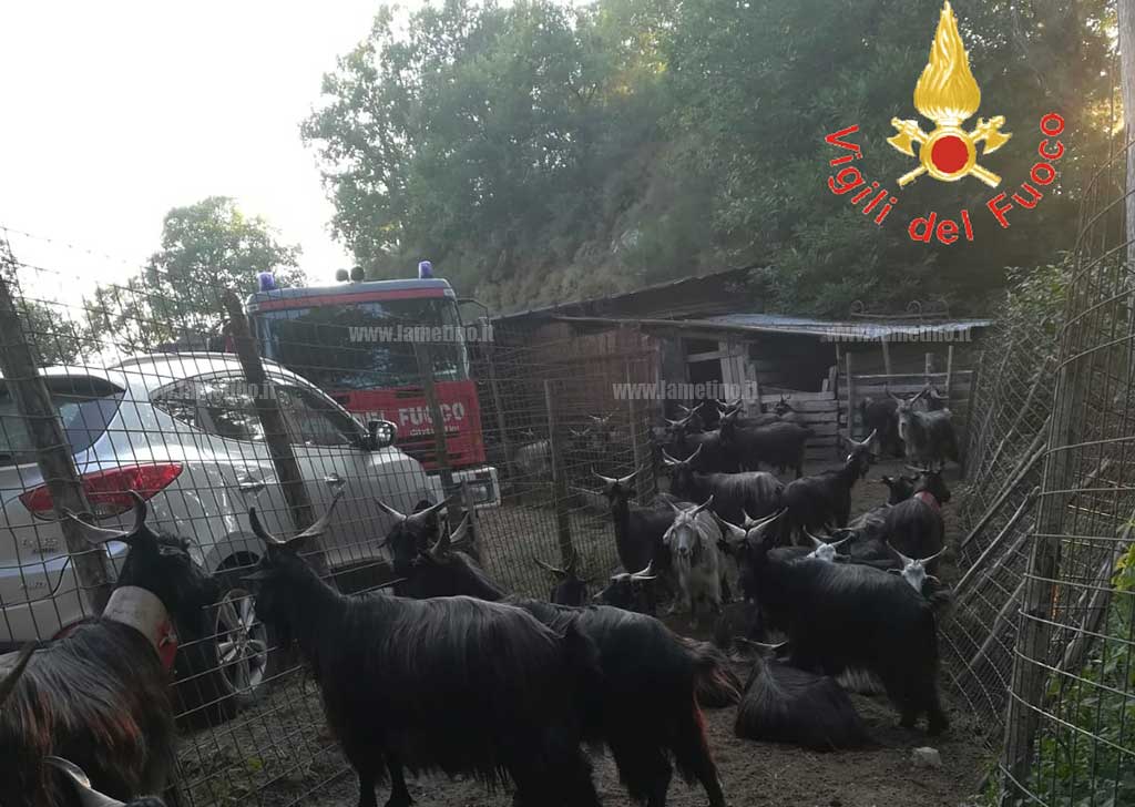 incendio-2.jpg