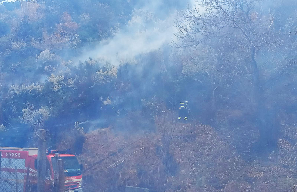 incendio-2_8ebf8.jpg