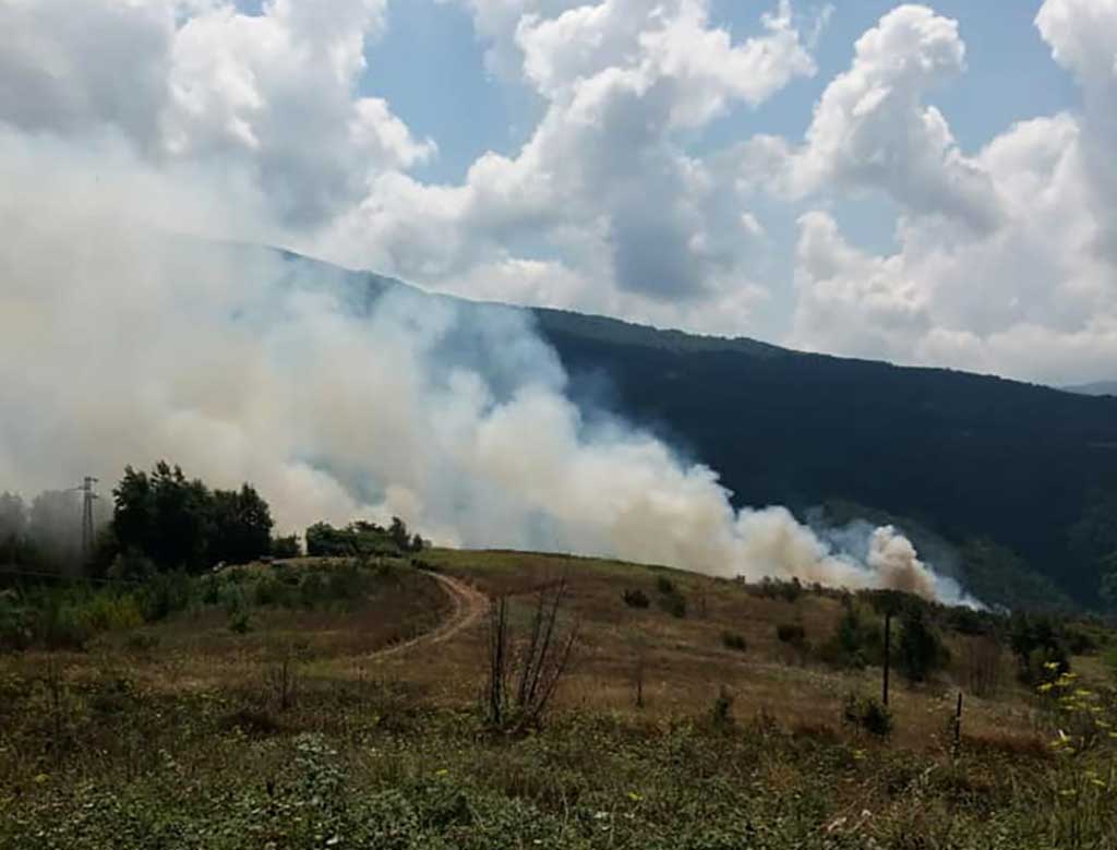 Incendio minaccia case e coltivazioni a Conflenti, domato dopo ore di lavoro