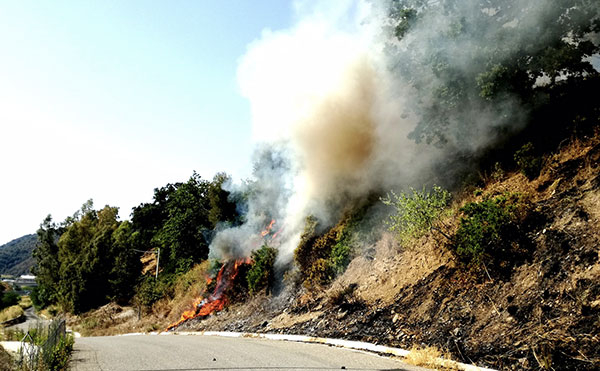 incendio-3-07222017-181943.jpg