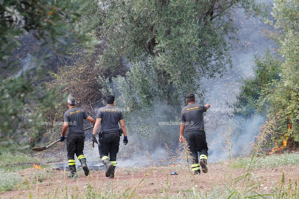 incendio-31-ago-.jpg