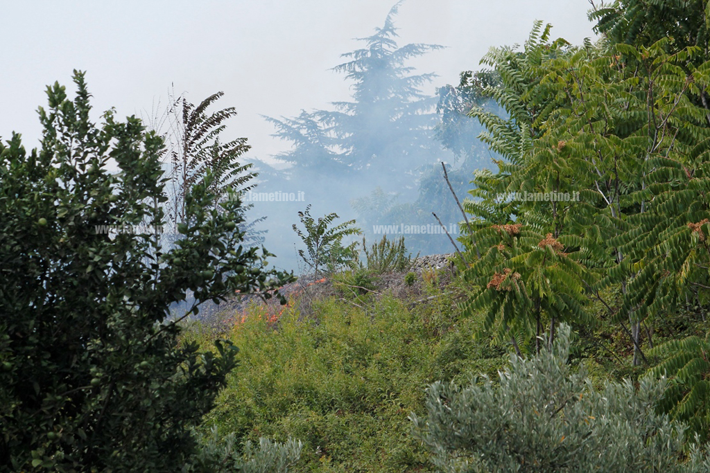 incendio-31-agosto.jpg