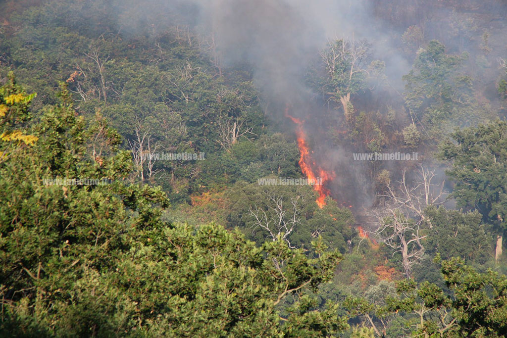 incendio-3_0ce81.jpg