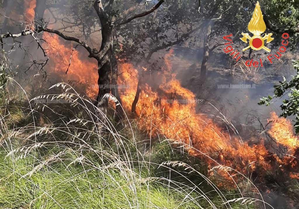 Vasto incendio nel catanzarese, fiamme minacciano abitazioni 