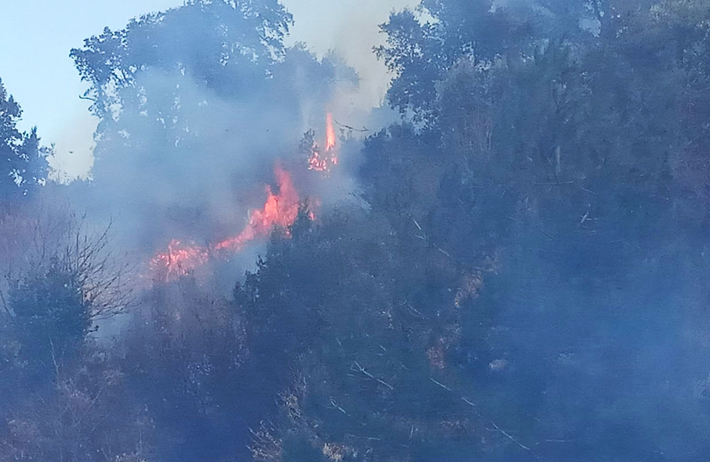 Incendio boschivo a San Pietro a Maida, il sindaco: "Centro abitato in sicurezza"