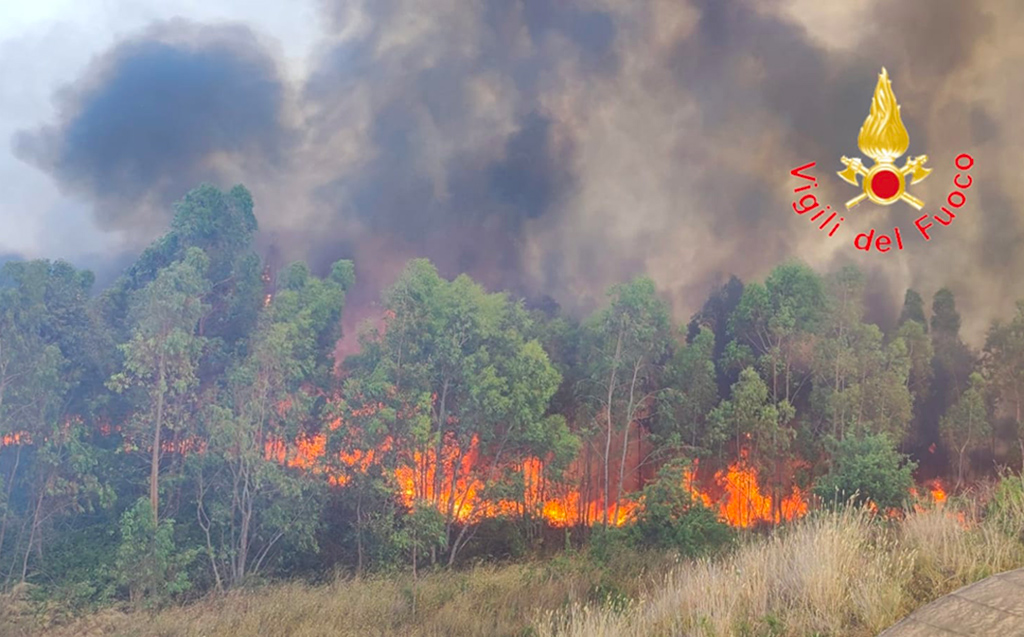 incendio-5_2f588_609ab.jpg