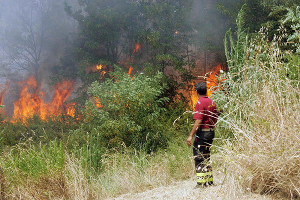 Oltre 40 incendi nel weekend in provincia di Cosenza