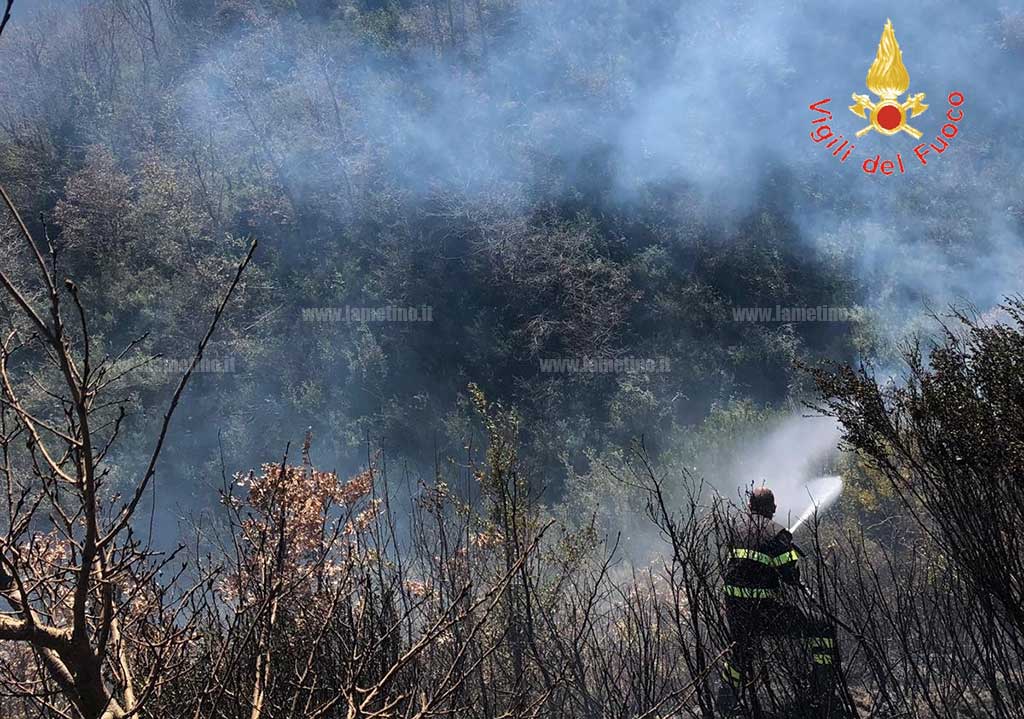 Incendi nel catanzarese, in fiamme macchia mediterranea - VIDEO