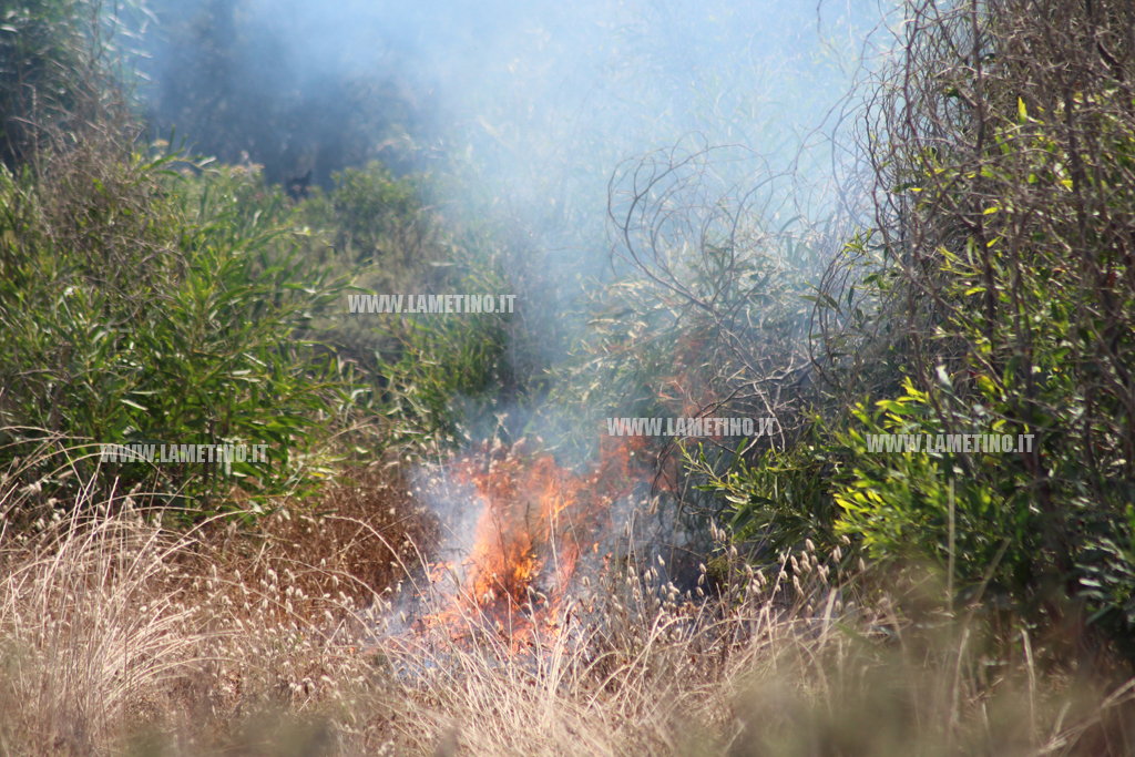 Lamezia, vasto incendio in località Ginepri