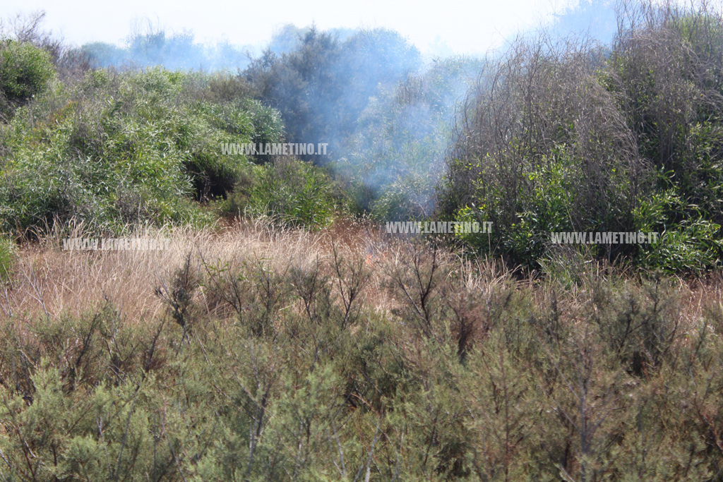 incendio-Ginepri-3-agosto2.jpg
