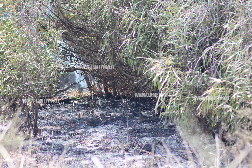 incendio-Ginepri-3-agosto4.jpg
